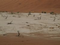 Namibia wasteland
