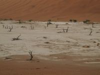 Namibia wasteland